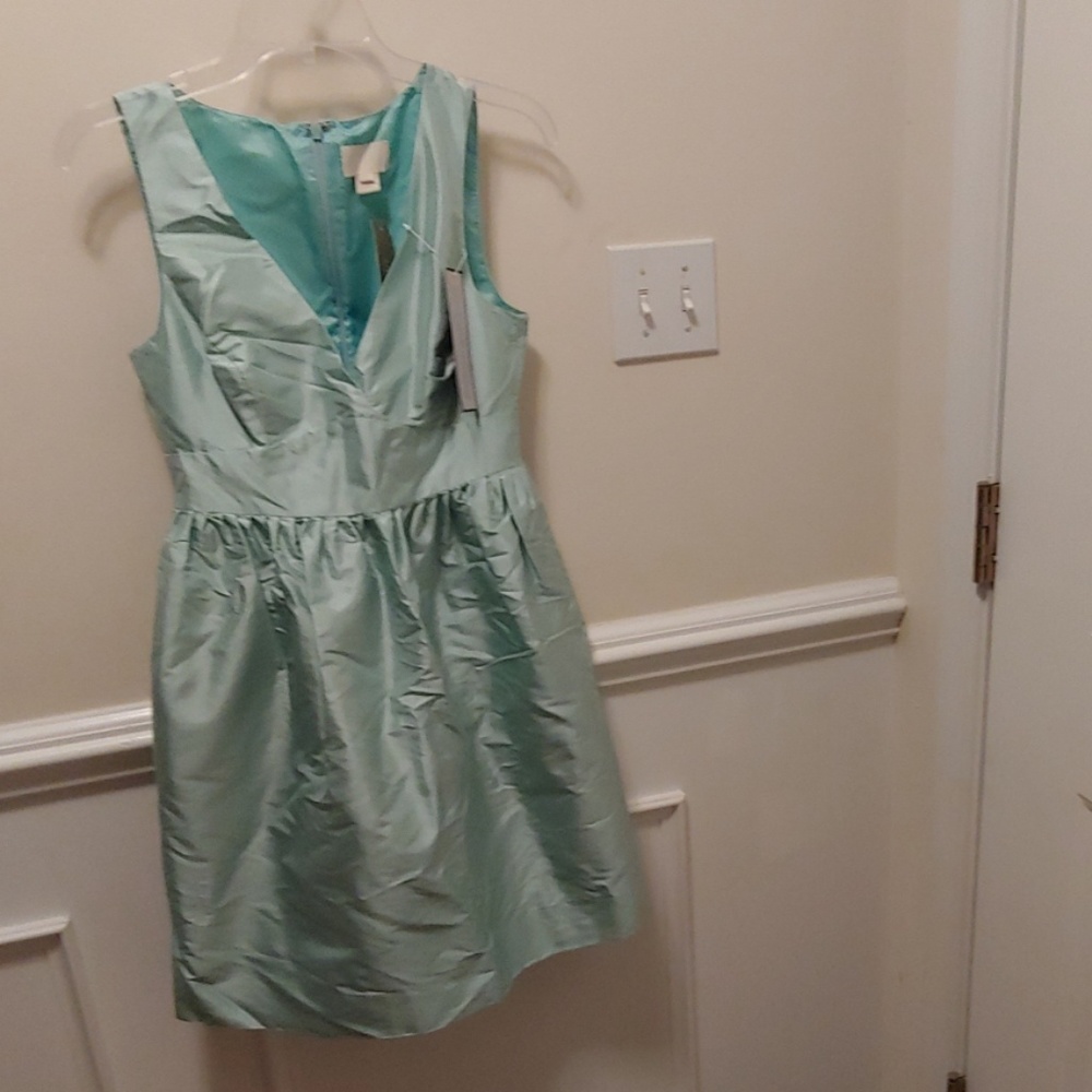 J.Crew Party Dress